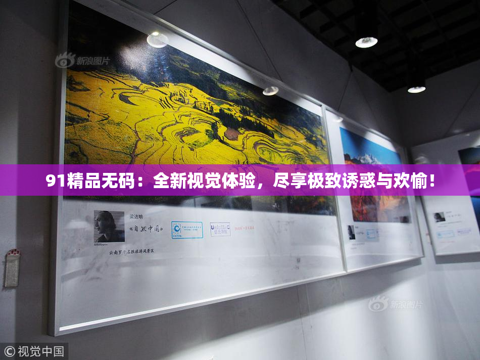91精品无码：全新视觉体验，尽享极致诱惑与欢愉！