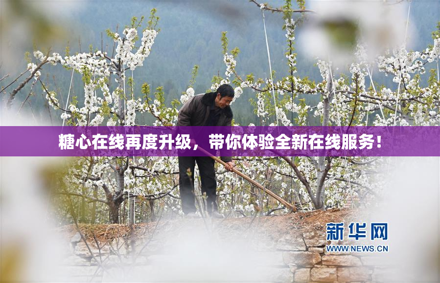 糖心在线再度升级，带你体验全新在线服务！