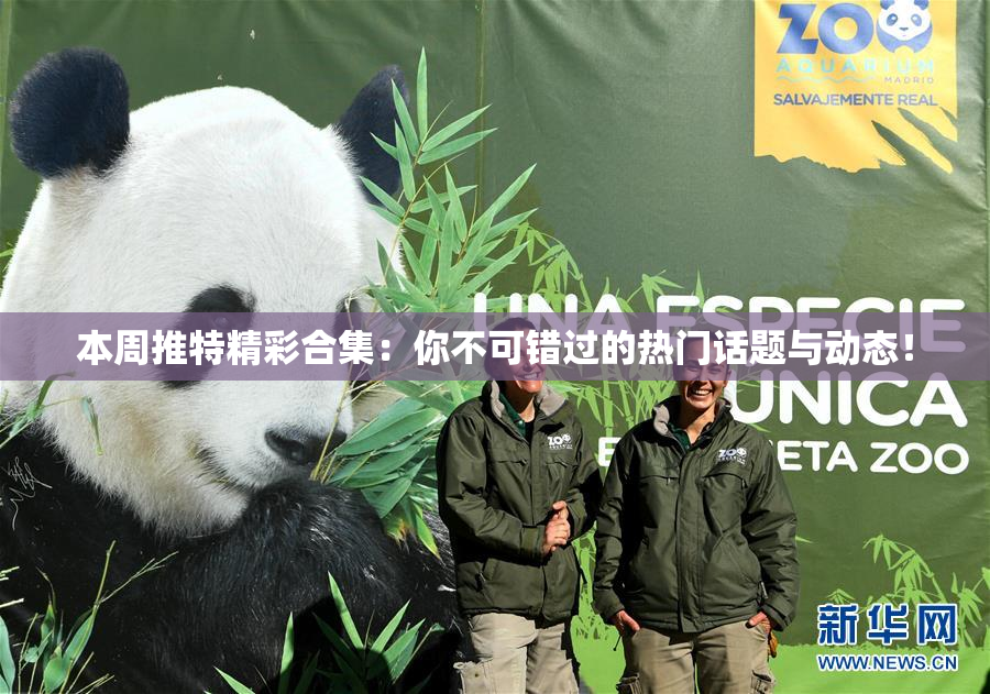 本周推特精彩合集：你不可错过的热门话题与动态！