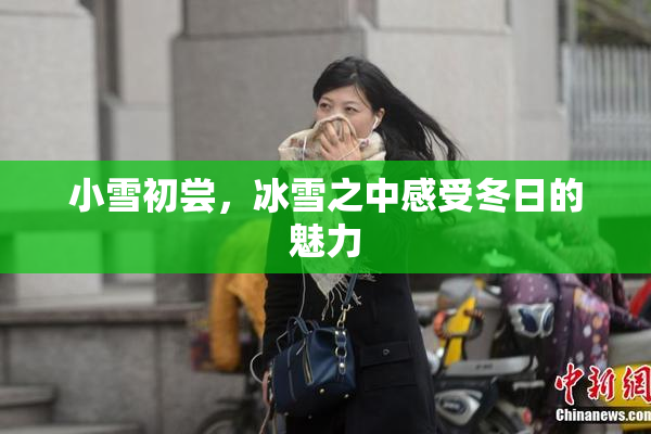 小雪初尝，冰雪之中感受冬日的魅力