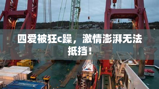 四爱被狂c躁，激情澎湃无法抵挡！