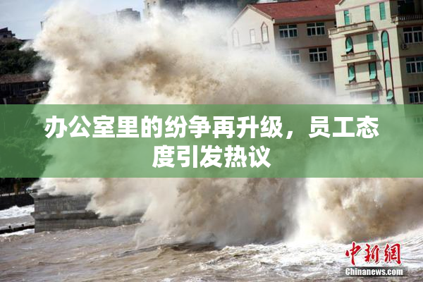 办公室里的纷争再升级，员工态度引发热议