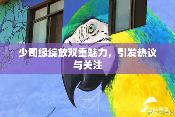 少司缘绽放双重魅力，引发热议与关注