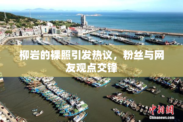 柳岩的裸照引发热议，粉丝与网友观点交锋
