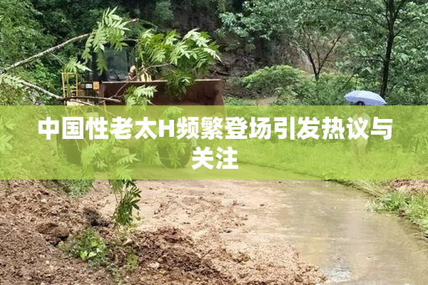 中国性老太H频繁登场引发热议与关注