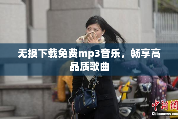 无损下载免费mp3音乐，畅享高品质歌曲