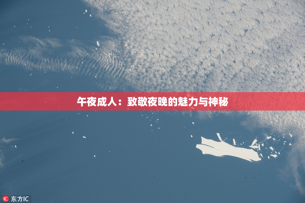 午夜成人：致敬夜晚的魅力与神秘