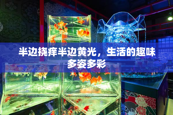 半边挠痒半边黄光，生活的趣味多姿多彩