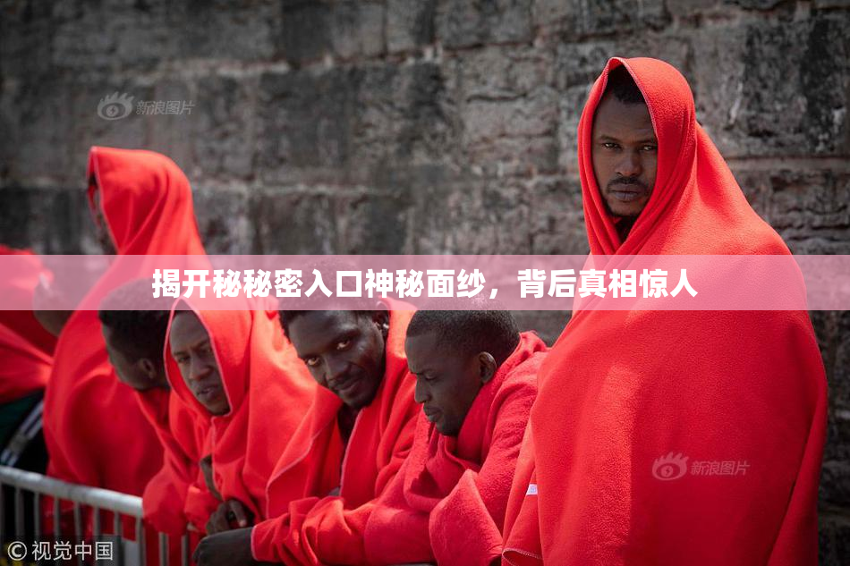 揭开秘秘密入口神秘面纱，背后真相惊人