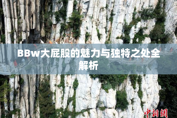 BBw大屁股的魅力与独特之处全解析
