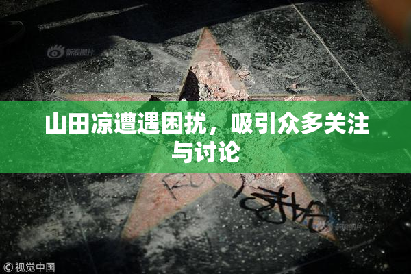 山田凉遭遇困扰，吸引众多关注与讨论