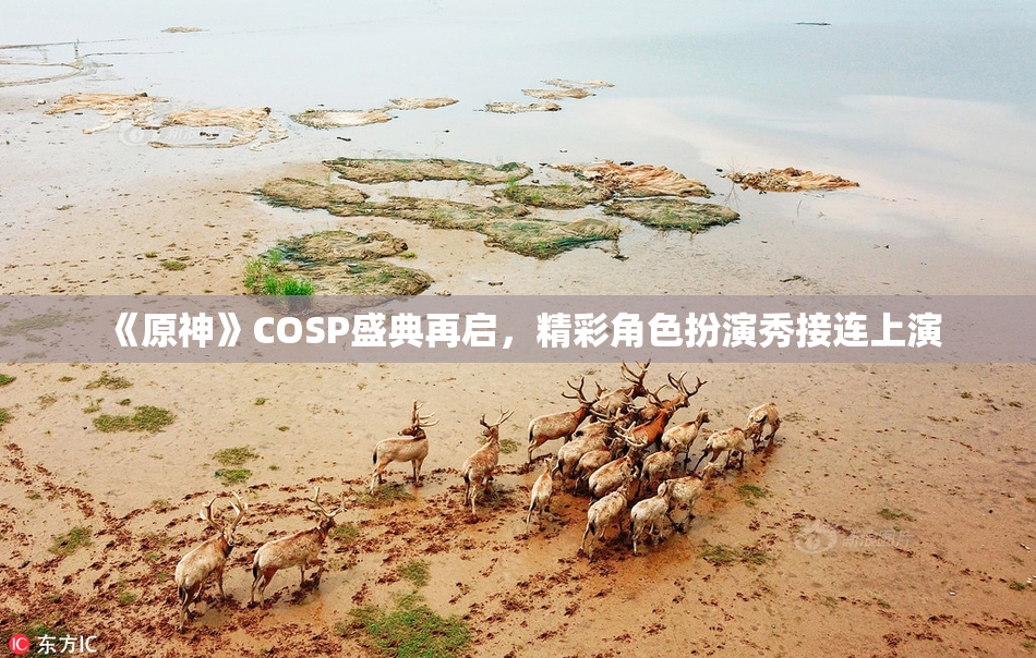 《原神》COSP盛典再启，精彩角色扮演秀接连上演