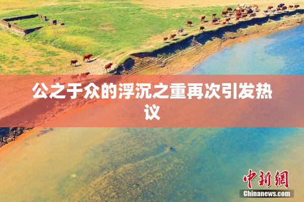 公之于众的浮沉之重再次引发热议