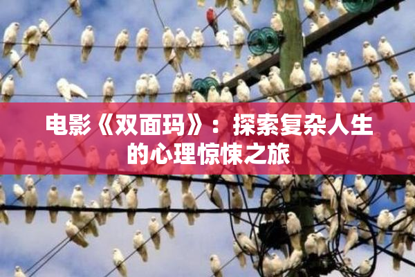 电影《双面玛》：探索复杂人生的心理惊悚之旅