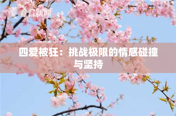 四爱被狂：挑战极限的情感碰撞与坚持