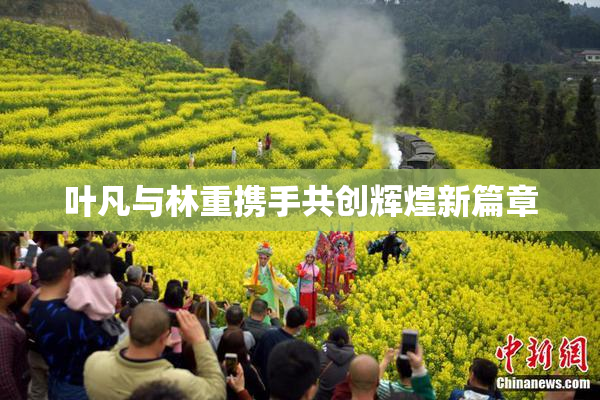 叶凡与林重携手共创辉煌新篇章