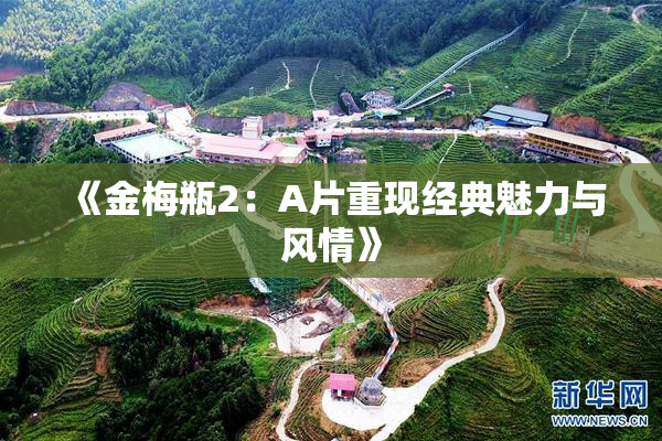《金梅瓶2：A片重现经典魅力与风情》