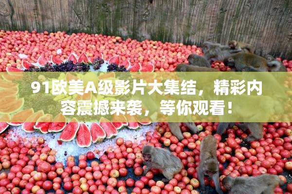 91欧美A级影片大集结，精彩内容震撼来袭，等你观看！