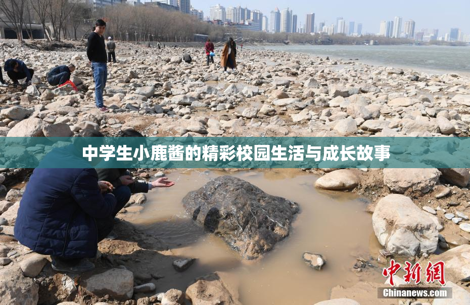 中学生小鹿酱的精彩校园生活与成长故事