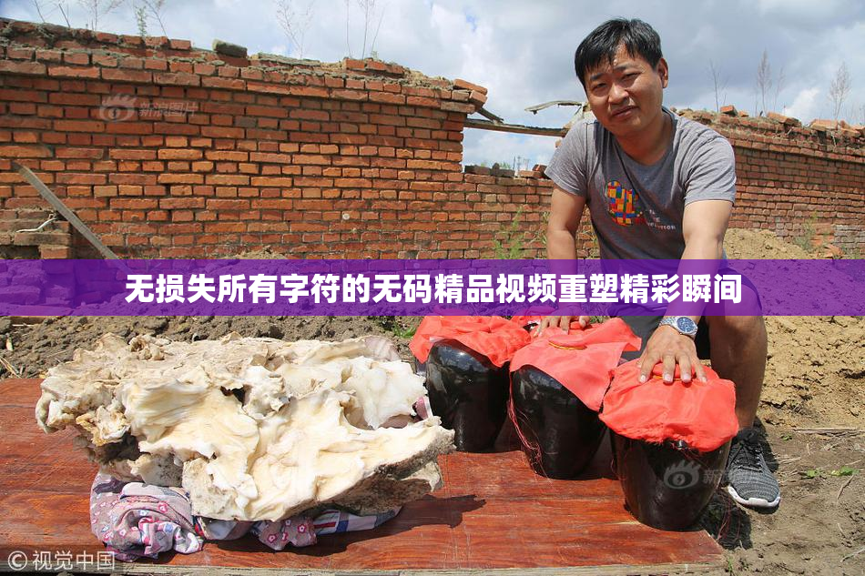 无损失所有字符的无码精品视频重塑精彩瞬间