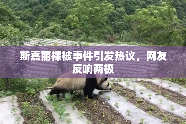 斯嘉丽裸被事件引发热议，网友反响两极