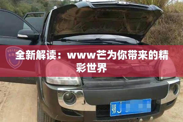 全新解读：www芒为你带来的精彩世界