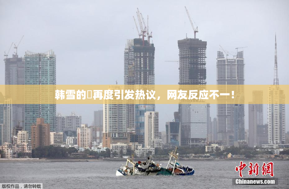 韩雪的婬再度引发热议，网友反应不一！