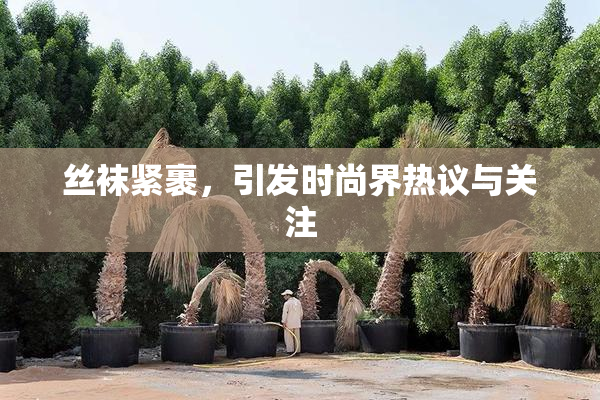 丝袜紧裹，引发时尚界热议与关注