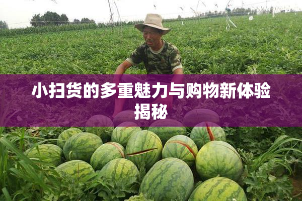小扫货的多重魅力与购物新体验揭秘
