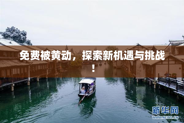 免费被黄动，探索新机遇与挑战！