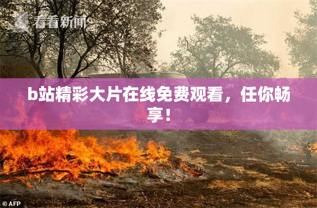 b站精彩大片在线免费观看，任你畅享！