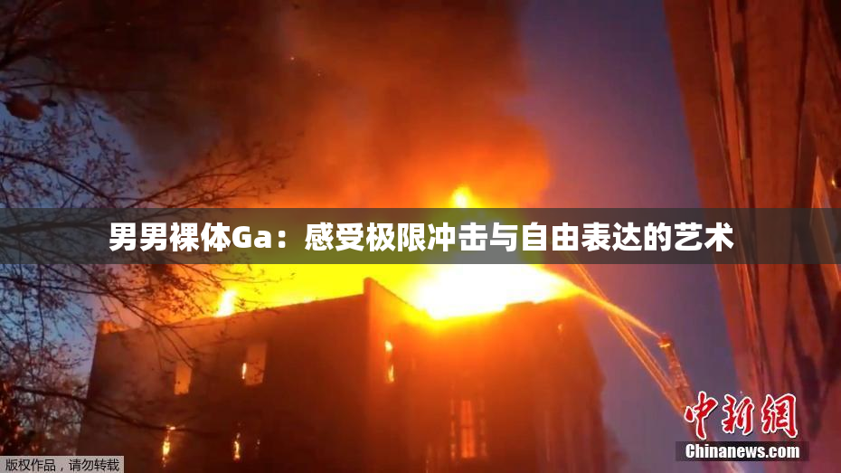 男男裸体Ga：感受极限冲击与自由表达的艺术