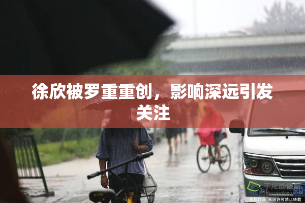 徐欣被罗重重创，影响深远引发关注