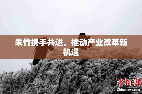 朱竹携手共进，推动产业改革新机遇