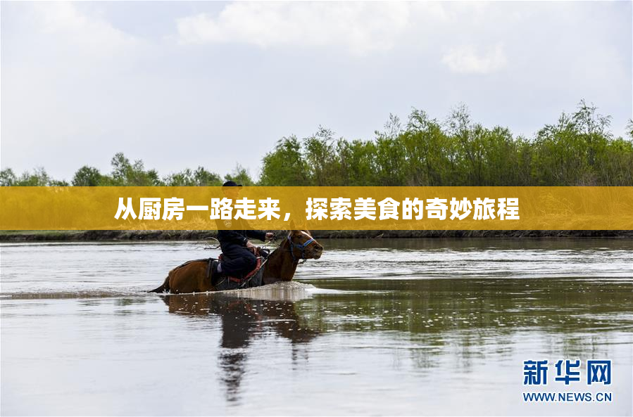 从厨房一路走来，探索美食的奇妙旅程