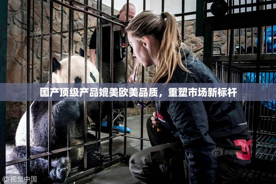 国产顶级产品媲美欧美品质，重塑市场新标杆