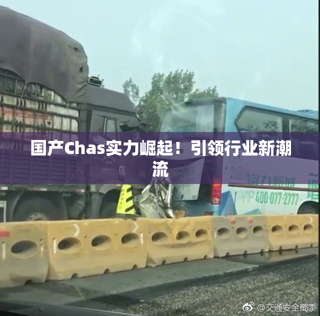 国产Chas实力崛起！引领行业新潮流