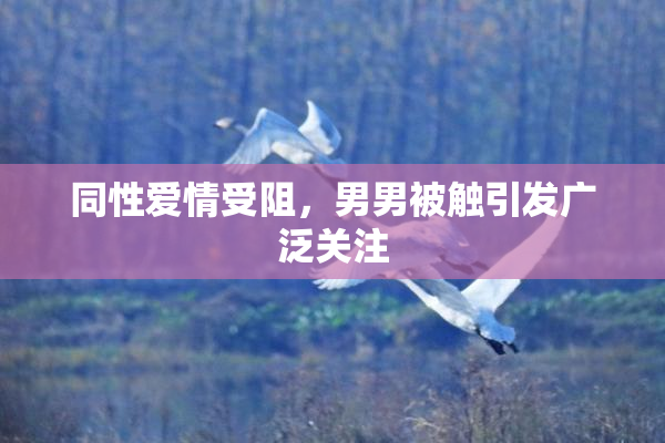 同性爱情受阻，男男被触引发广泛关注