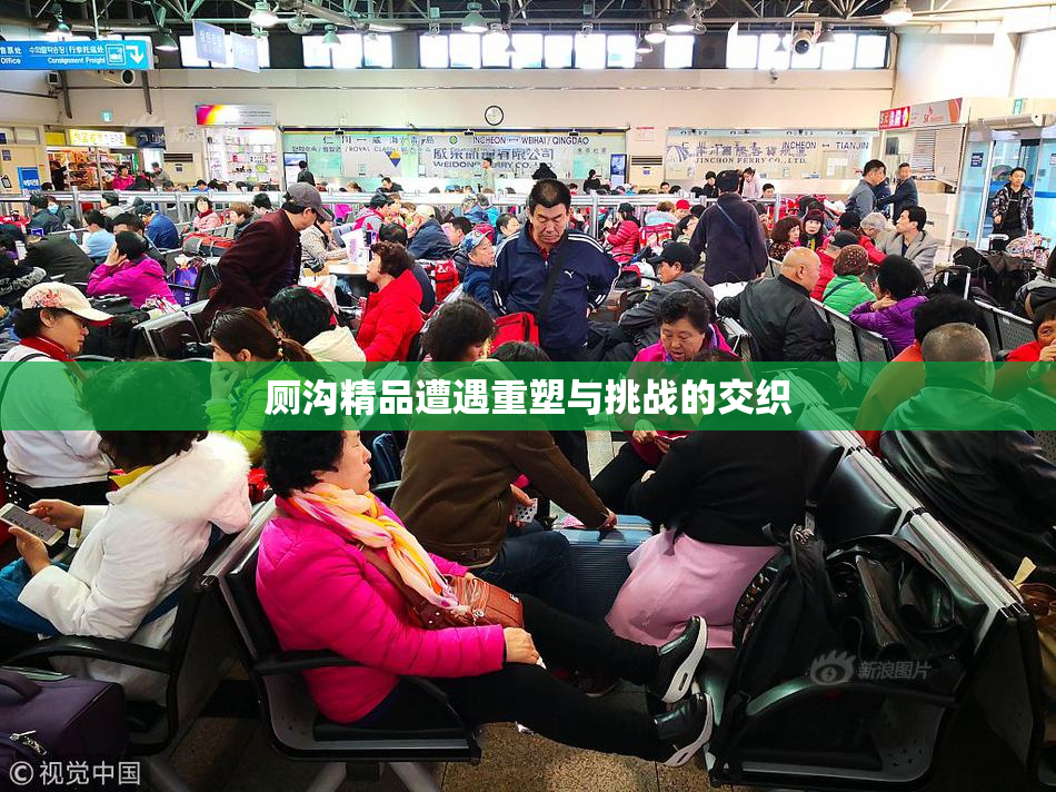 厕沟精品遭遇重塑与挑战的交织