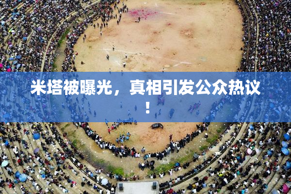 米塔被曝光，真相引发公众热议！