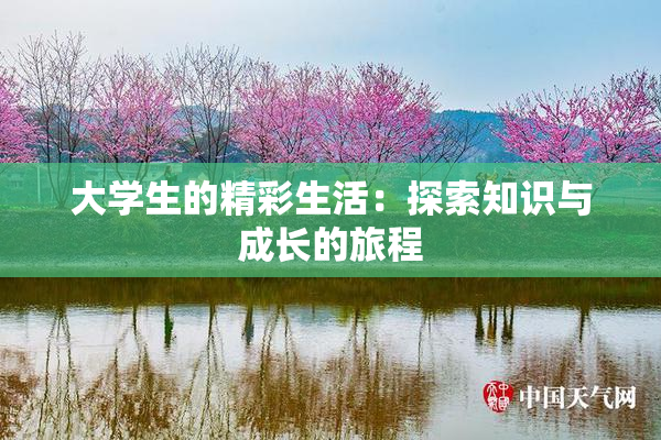 大学生的精彩生活：探索知识与成长的旅程