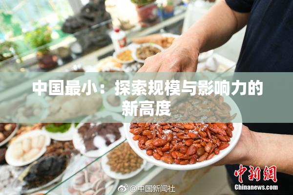 中国最小：探索规模与影响力的新高度