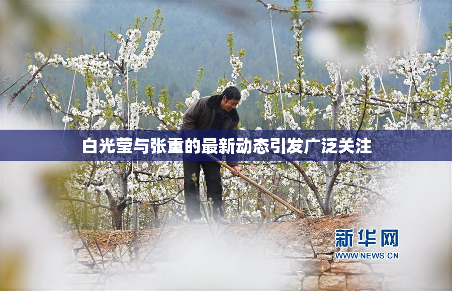 白光莹与张重的最新动态引发广泛关注
