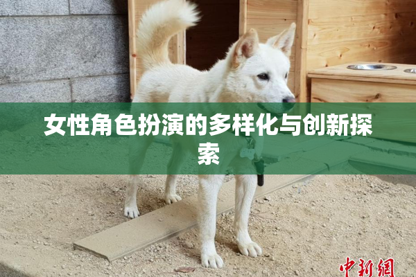 女性角色扮演的多样化与创新探索