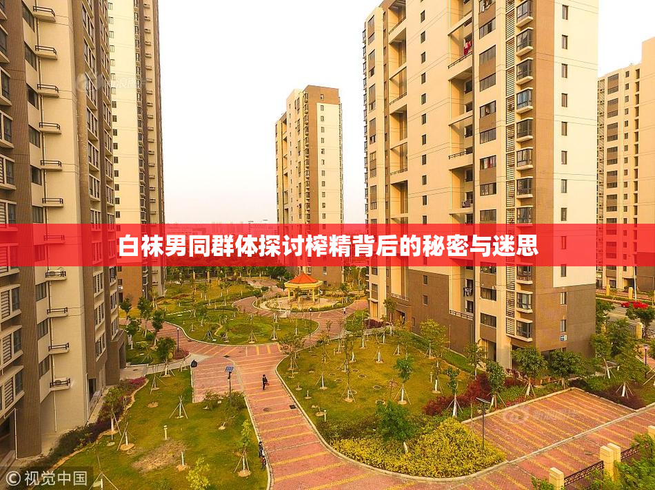 白袜男同群体探讨榨精背后的秘密与迷思