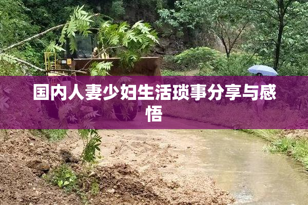 国内人妻少妇生活琐事分享与感悟