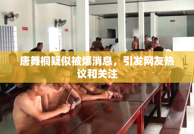 唐舞桐疑似被爆消息，引发网友热议和关注