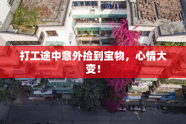 打工途中意外捡到宝物，心情大变！