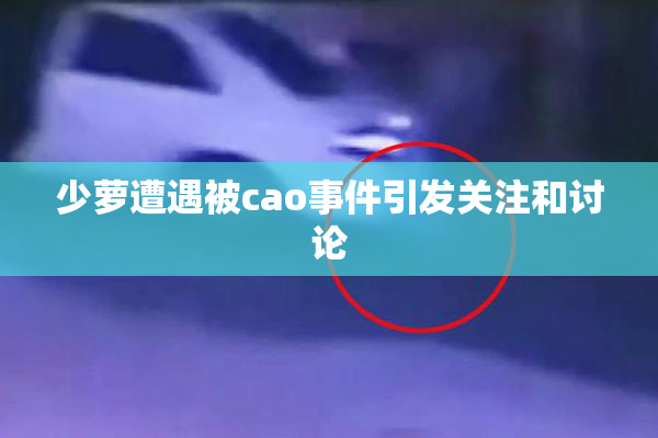 少萝遭遇被cao事件引发关注和讨论