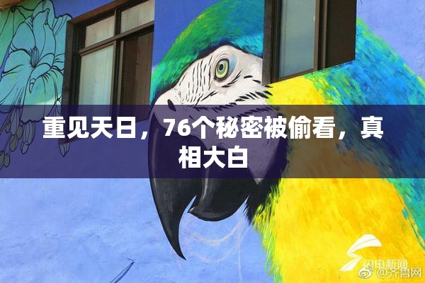 重见天日，76个秘密被偷看，真相大白